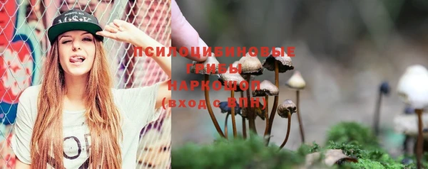 таблы Медногорск