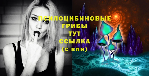 таблы Медногорск