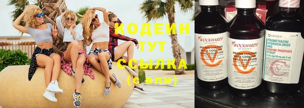 гашик Медвежьегорск
