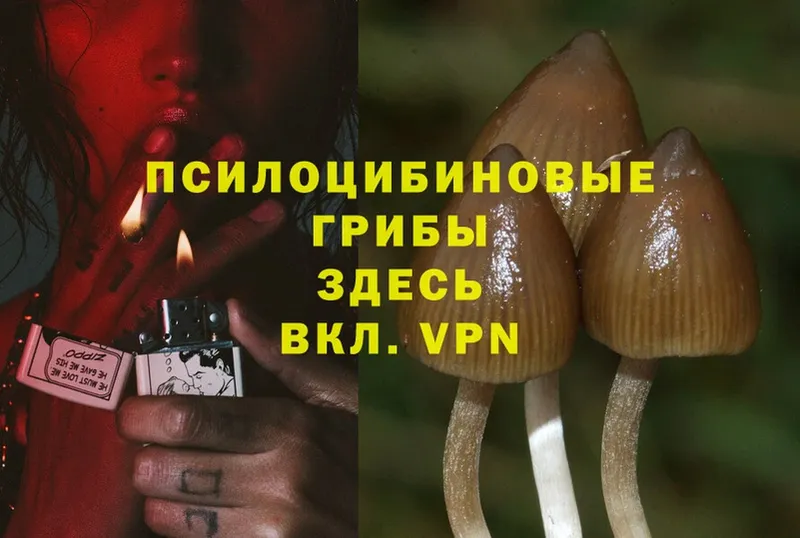 Псилоцибиновые грибы MAGIC MUSHROOMS  Волгоград 