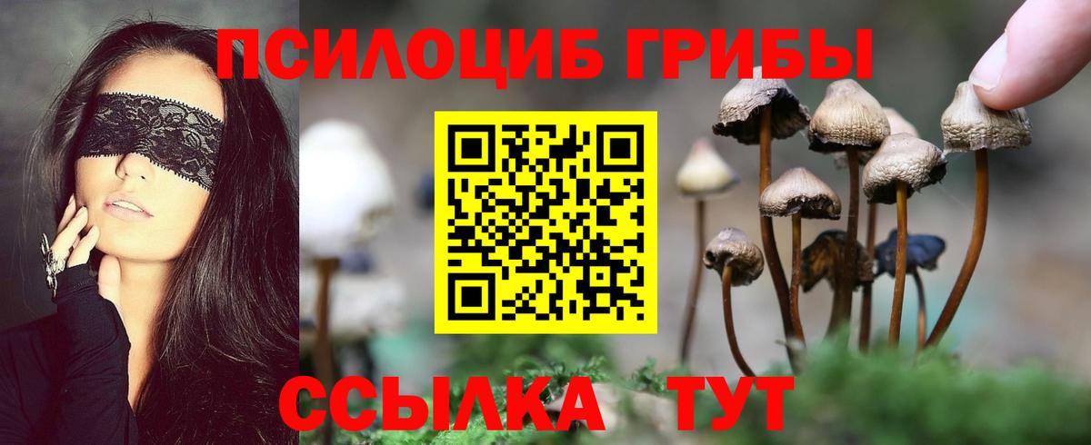 Псилоцибиновые грибы Magic Shrooms  Вход с VPN  Волгоград 